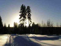 big_58409041_0_200-150